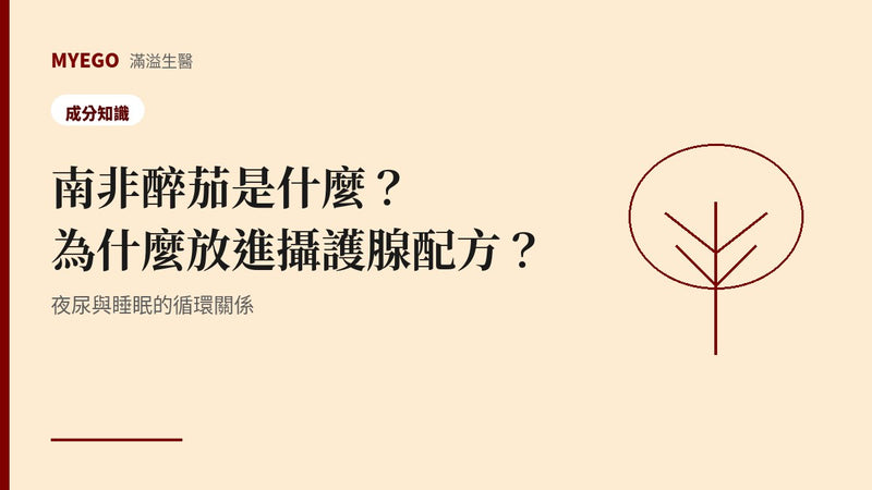 南非醉茄是什麼？為什麼放進攝護腺保養配方